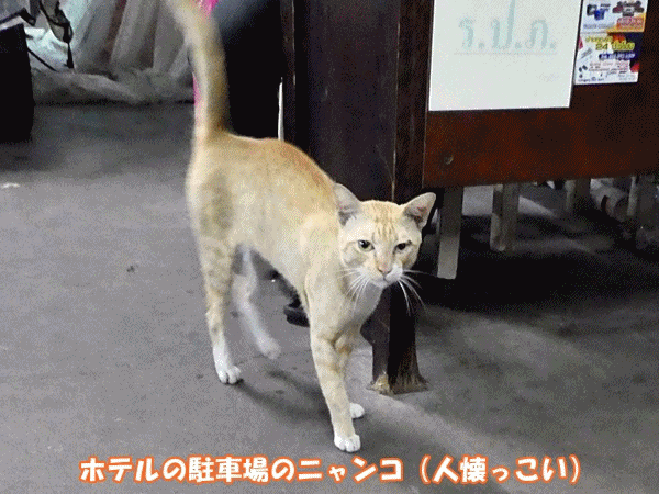 226ホテルで酒盛り