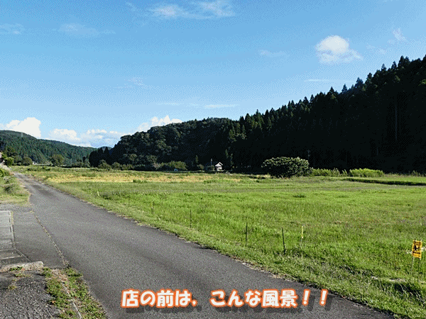 850マルガ―ジェラート