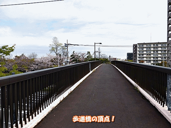 NN20歩道橋頂点