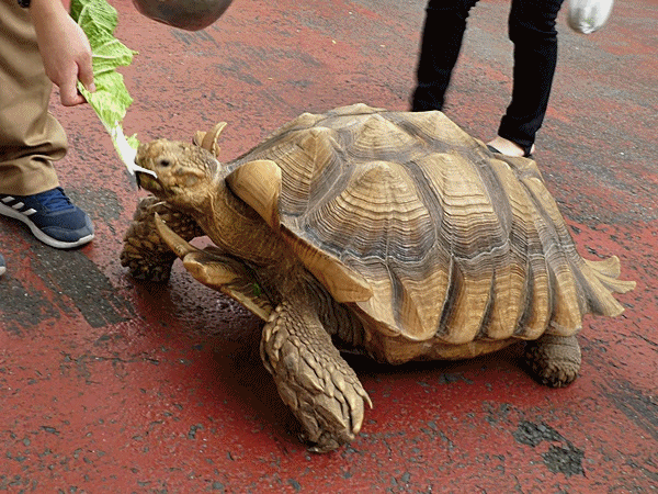 NN420てなづけ成功？