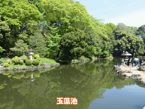 30玉藻池とバラ園