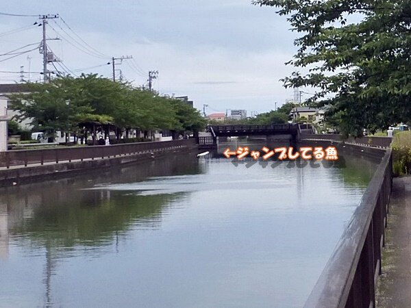 NN105撮れてた？