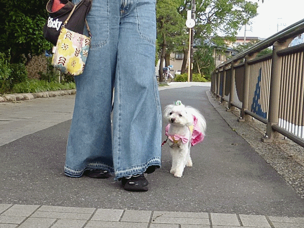 150やっぱり恥ずかしい