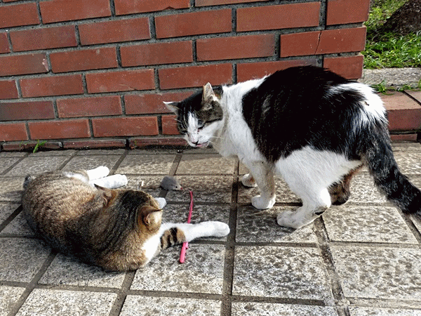 100ちょっと遊ぼう