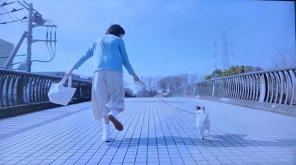 Cmで 大発見 ラッキーの日記と パパのカメブラ散歩