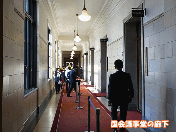 NN260国会議事堂 廊下