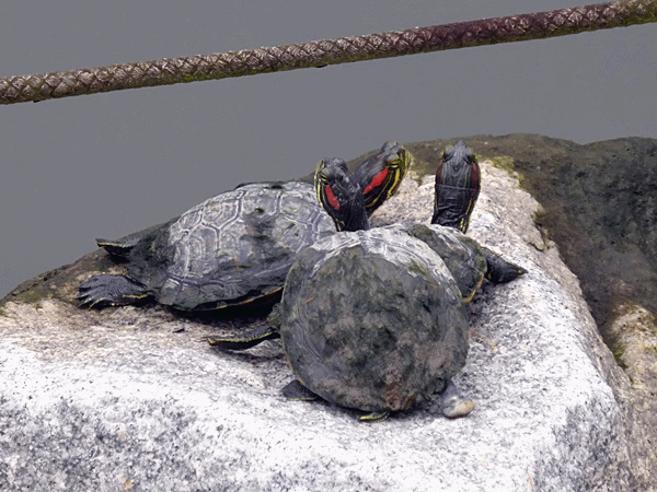 120ひなたぼっこ