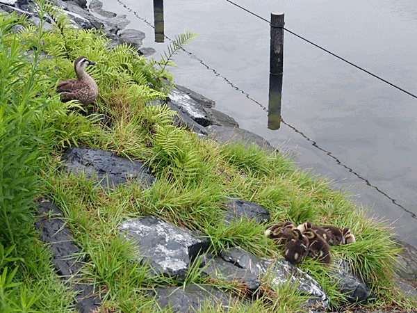 160こんな場所です。