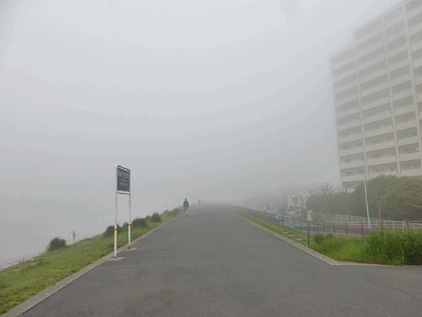 160河川敷ウォーク