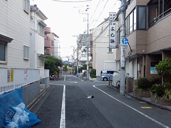 NN180猫