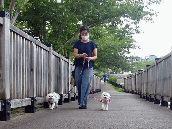 まだダメだった