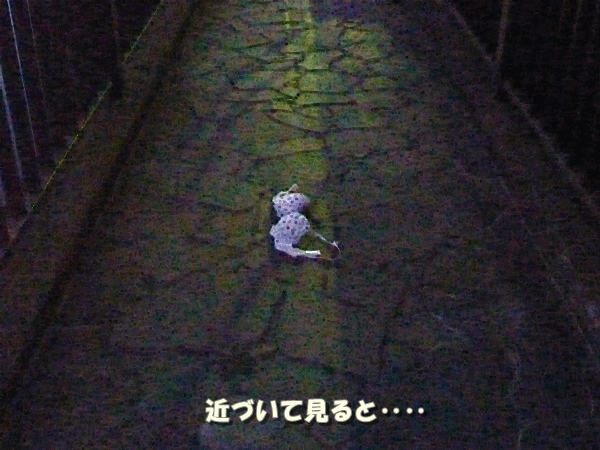 なぜ こんなものが こんなところに ラッキーの日記と パパのカメブラ散歩 なぜ こんなものが こんなところに ラッキーの日記と パパのカメブラ散歩