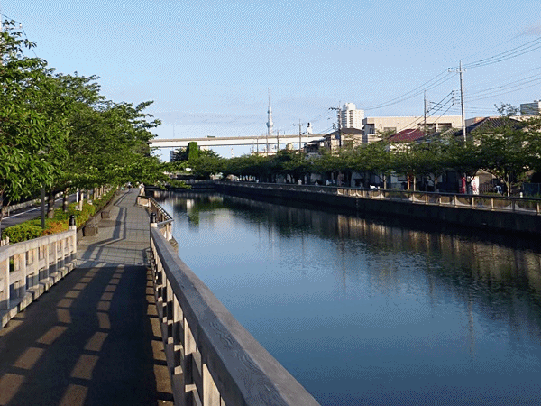 NN102天気がいいと