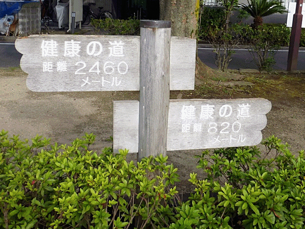 NN200子ガモ発見