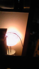 b8ef0520.jpg