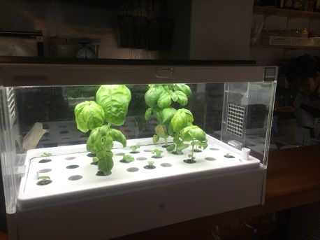 カーサパスト8