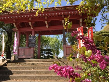 お寺カフェ2