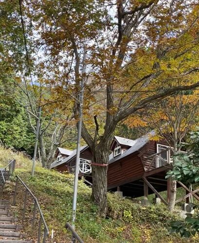 星のこやまカフェ12