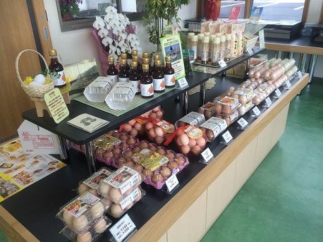 旭養鶏舎3