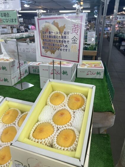 momo農マル4