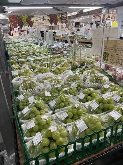 農マルぶどう8