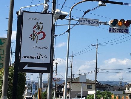 新菊新1