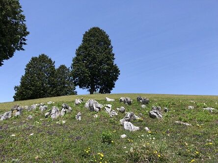 帝釈峡国民休暇村12