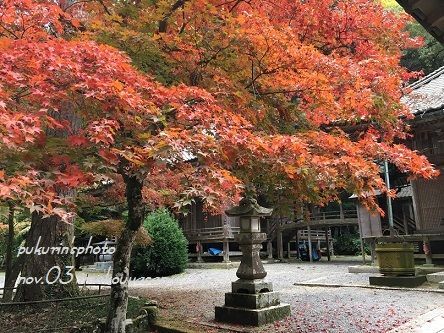 今高野山1