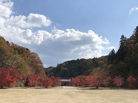 光信寺7