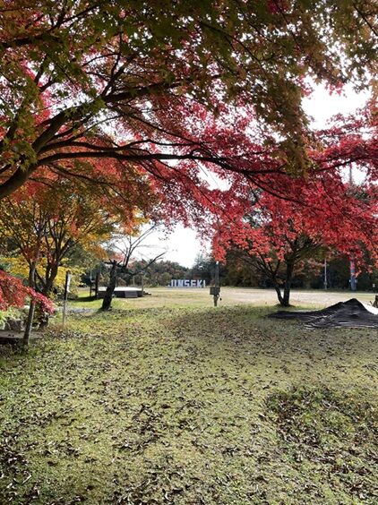 星のこやまカフェ13