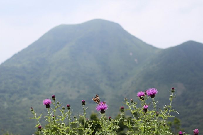 大平山山頂