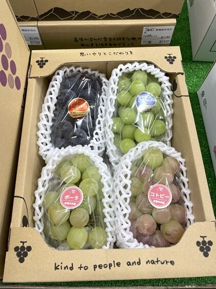 農マルぶどう18