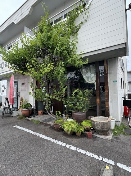 栞1