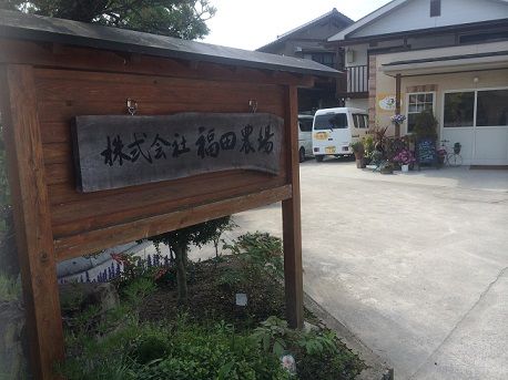 米豊霧4