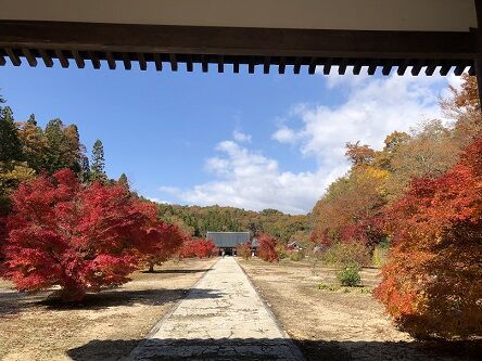 光信寺4