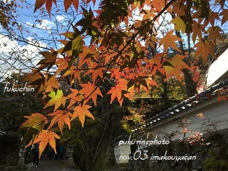 今高野山3