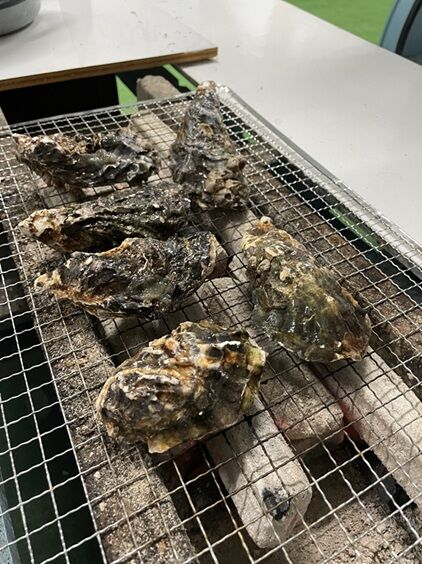 楽牡蠣屋8