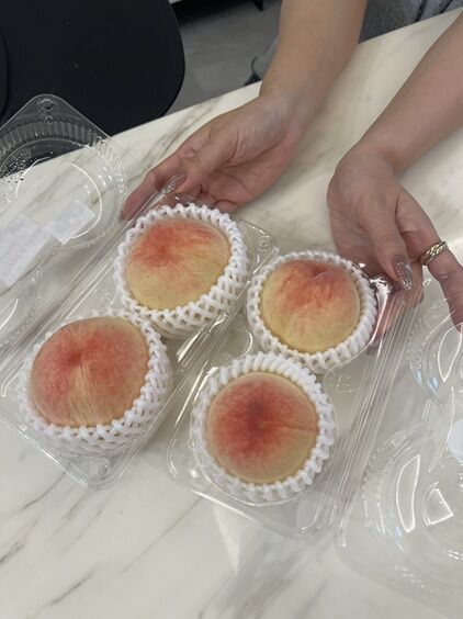 momo農マル16