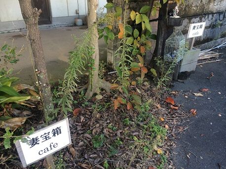 妻宝箱9