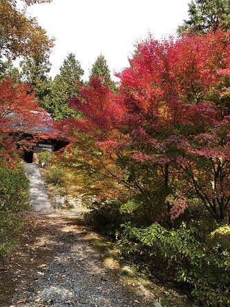 光信寺8