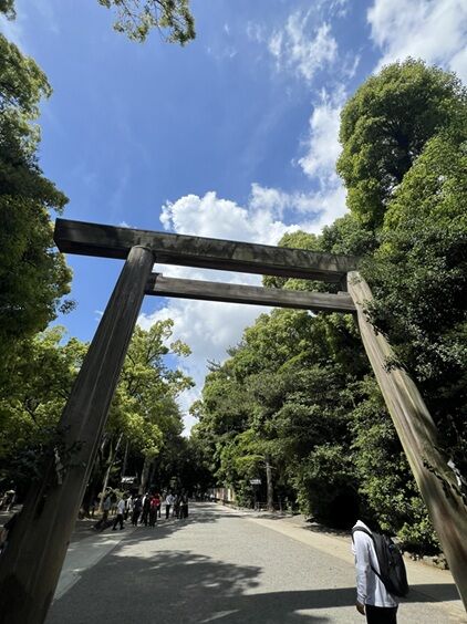 nagoyatabi50