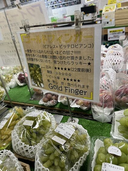 農マルぶどう12