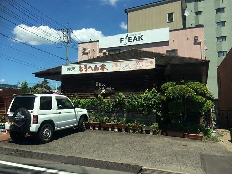 とおへん木1