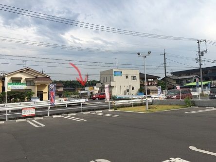 フリースタイル11