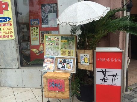 6茶花1