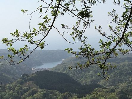 お寺カフェ6