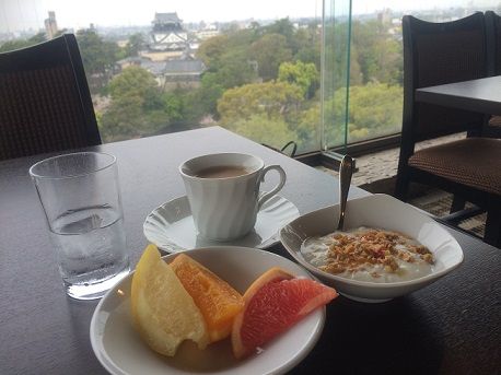 岡崎ニューグランドホテル10