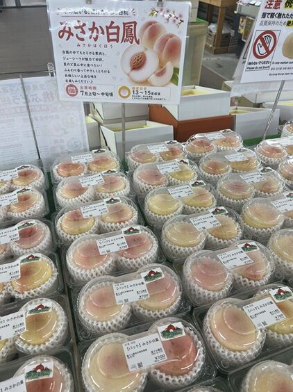 momo農マル11