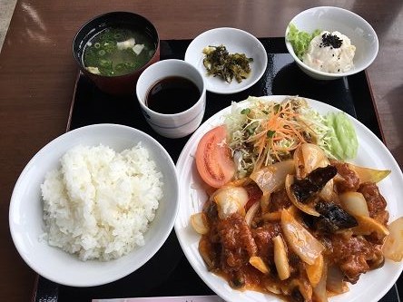 茶花2018015