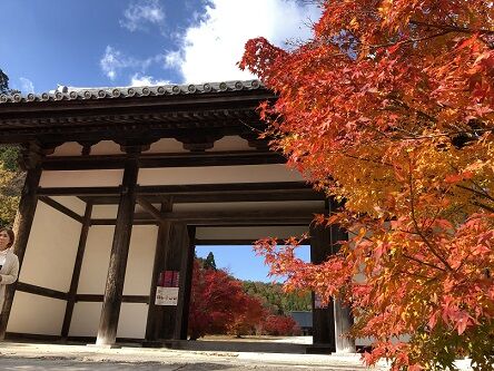 光信寺10